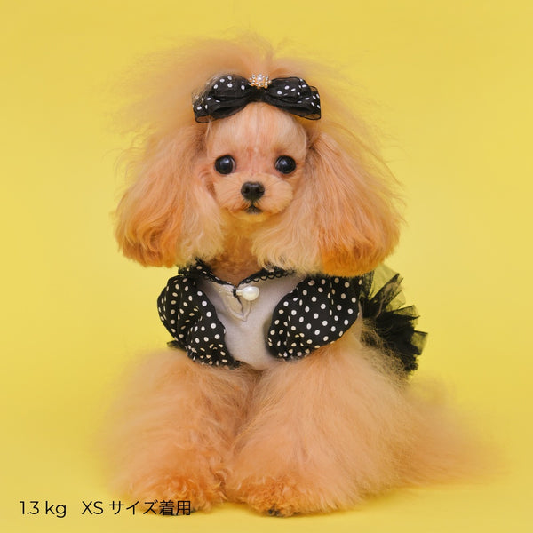 ゴッドピヴァ GODPIVA ロイヤルドットワンピース【小型犬用 犬用 ドッグウエア トップス ワンピース スカート ドレス セレブ】