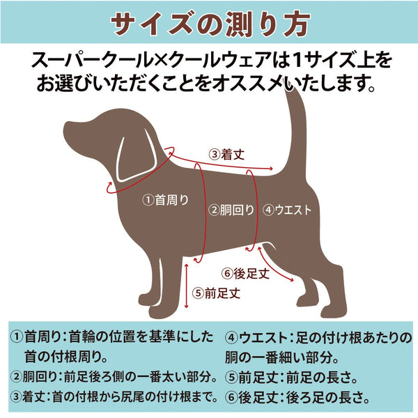 クークチュール Coo Couture テラヘルツ・ブローイングベアタンク［12520］【ドッグウエア ウエア 犬介護 ハーネス シニア犬】