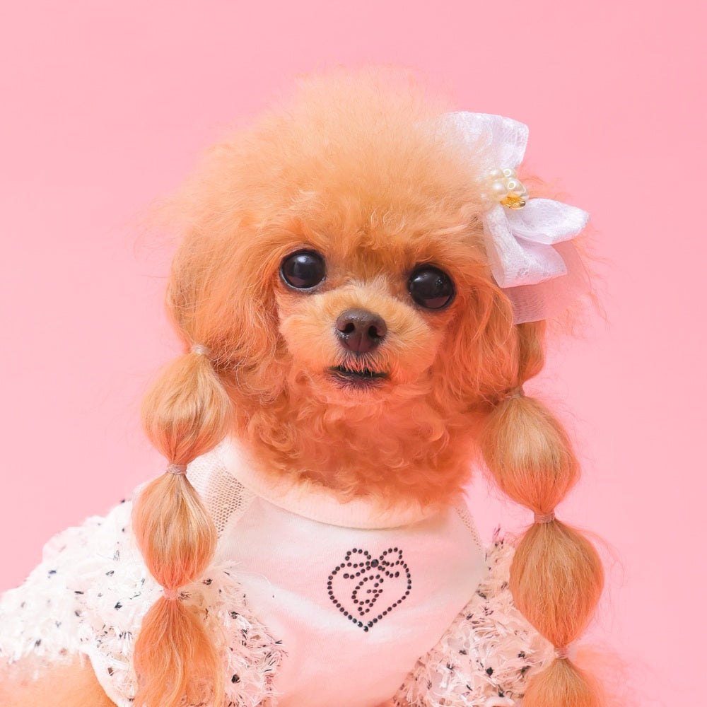 ゴッドピヴァ GODPIVA オーガンジーレースリボンバレッタ【小型犬用 犬用 ヘアアクセサリー バレッタ リボン ヘアアクセ セレブ】
