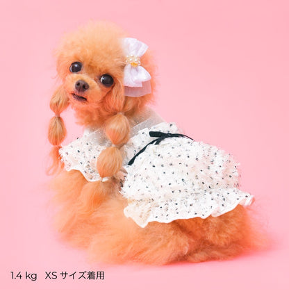ゴッドピヴァ GODPIVA ☆ご予約☆ ノーブルフェザーワンピース【小型犬用 犬服 ドッグウエア ワンピース ドレス スカート セレブ】