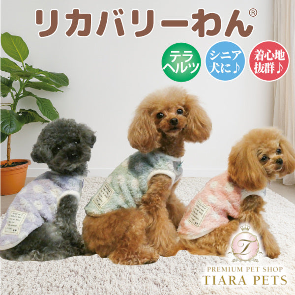 クークチュール Coo Couture ☆9月中旬から下旬入荷予定☆ テラヘルツ・マカロンドットタンク［12519］【ドッグウエア ウエア 犬介護 ハーネス シニア犬】