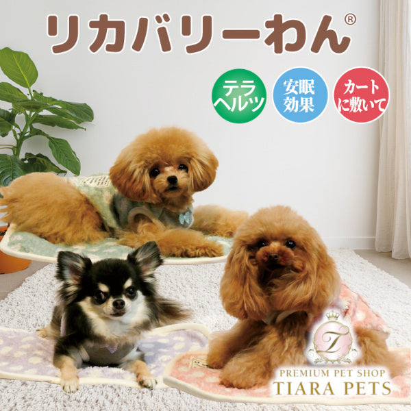 クークチュール Coo Couture ☆10月中旬から下旬入荷予定☆ テラヘルツ・マカロンドットマット［7350］【犬用 マット シニア犬】