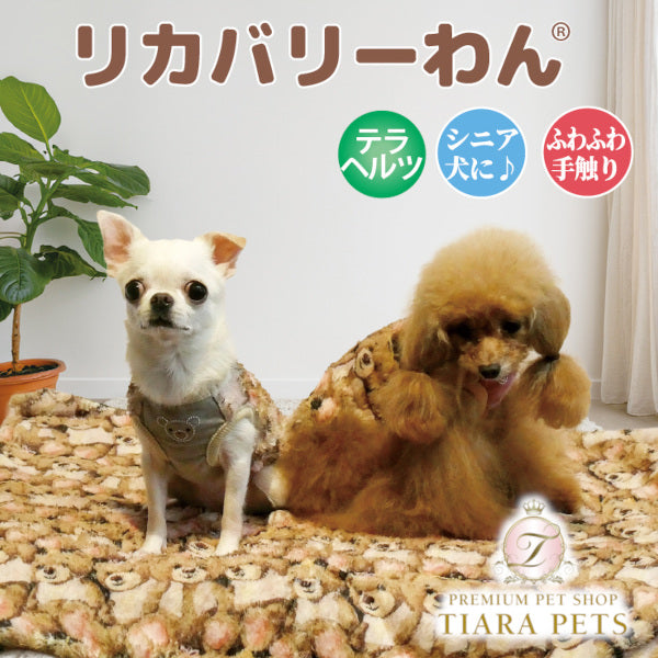 クークチュール Coo Couture ☆10月中旬から下旬入荷予定☆ テラヘルツ・ブローイングベアブランケット［7352］【犬用 ブランケット シニア犬】