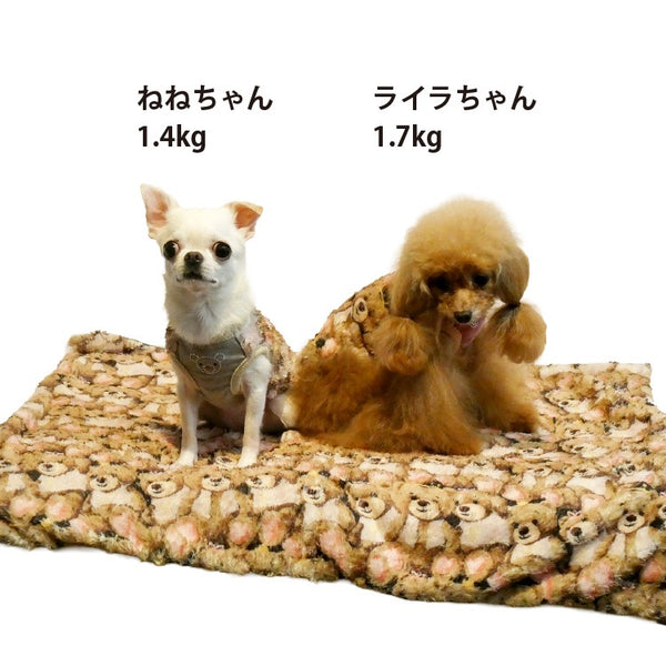 クークチュール Coo Couture ☆10月中旬から下旬入荷予定☆ テラヘルツ・ブローイングベアブランケット［7352］【犬用 ブランケット シニア犬】