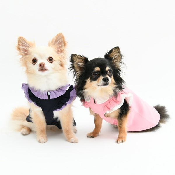 アナ スイ ANNA SUI ミニショルダーモチーフワンピース【小型犬 犬服 ドッグウエア ワンピース スカート ドレス セレブ】