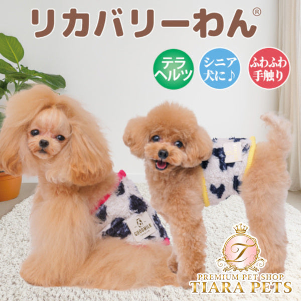 クークチュール Coo Couture ☆10月中旬から下旬入荷予定☆ テラヘルツ・MOUMOUベルクロバンド［7353］【ドッグウエア ウエア 犬介護 腹巻 はら巻 シニア犬】