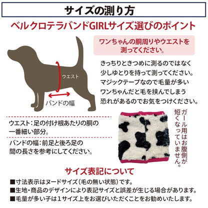 クークチュール Coo Couture ☆10月中旬から下旬入荷予定☆ テラヘルツ・MOUMOUベルクロバンド［7353］【ドッグウエア ウエア 犬介護 腹巻 はら巻 シニア犬】
