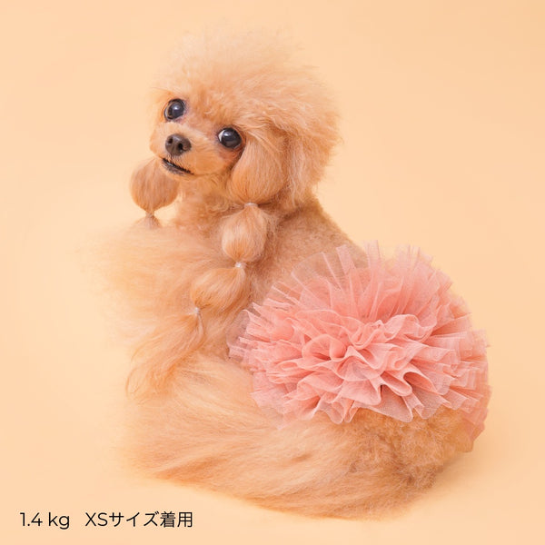 ゴッドピヴァ GODPIVA ☆ご予約☆ TERAチュチュスカート【小型犬用 犬服 ドッグウエア スカート セレブ】