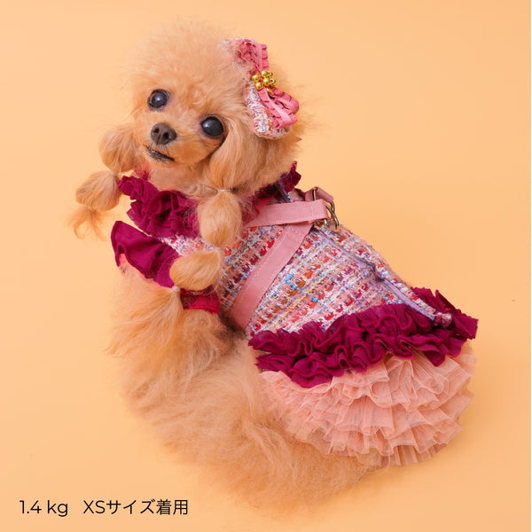 ゴッドピヴァ GODPIVA ☆ご予約☆ TERAチュチュスカート【小型犬用 犬服 ドッグウエア スカート セレブ】