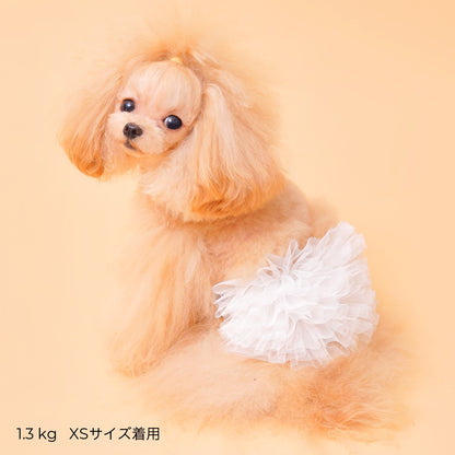 ゴッドピヴァ GODPIVA ☆ご予約☆ TERAチュチュスカート【小型犬用 犬服 ドッグウエア スカート セレブ】