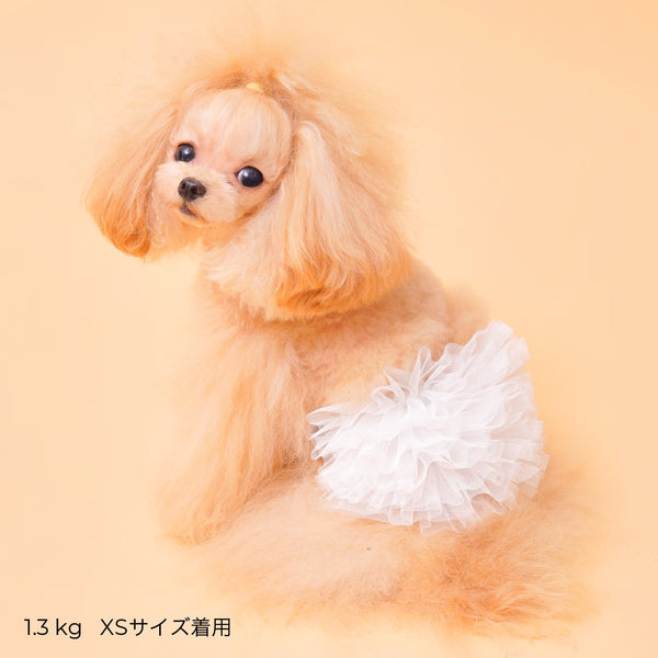 ゴッドピヴァ GODPIVA ☆ご予約☆ TERAチュチュスカート【小型犬用 犬服 ドッグウエア スカート セレブ】