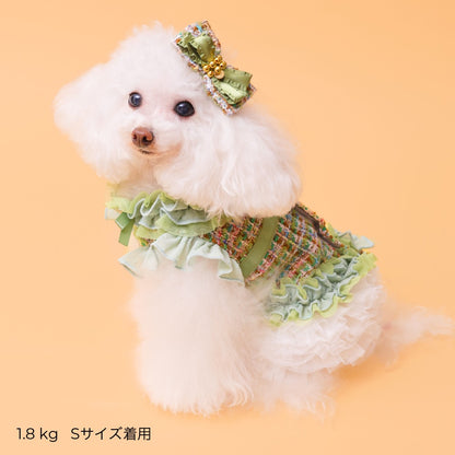 ゴッドピヴァ GODPIVA ☆ご予約☆ TERAチュチュスカート【小型犬用 犬服 ドッグウエア スカート セレブ】
