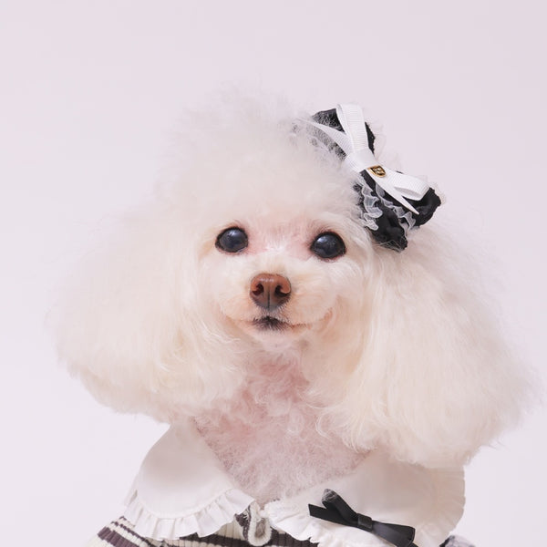 ゴッドピヴァ GODPIVA ☆ご予約☆ サイドフリルリボンバレッタ【小型犬用 犬用 ヘアアクセサリー バレッタ リボン セレブ】