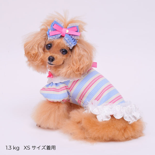 ゴッドピヴァ GODPIVA ☆ご予約☆ フレンチボーダタンク【小型犬用 犬服 ドッグウエア トップス タンクトップ ノースリーブ セレブ】