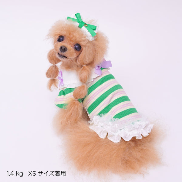 ゴッドピヴァ GODPIVA ☆ご予約☆ フレンチボーダタンク【小型犬用 犬服 ドッグウエア トップス タンクトップ ノースリーブ セレブ】