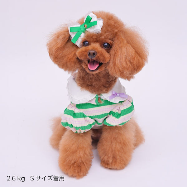 ゴッドピヴァ GODPIVA ☆ご予約☆ フレンチボーダタンク【小型犬用 犬服 ドッグウエア トップス タンクトップ ノースリーブ セレブ】