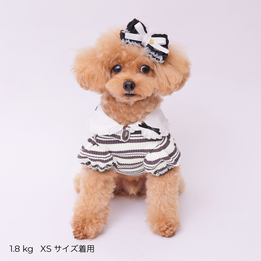 ゴッドピヴァ GODPIVA ☆ご予約☆ フレンチボーダタンク【小型犬用 犬服 ドッグウエア トップス タンクトップ ノースリーブ セレブ】