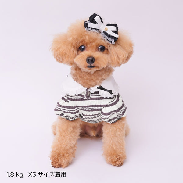 ゴッドピヴァ GODPIVA ☆ご予約☆ フレンチボーダタンク【小型犬用 犬服 ドッグウエア トップス タンクトップ ノースリーブ セレブ】