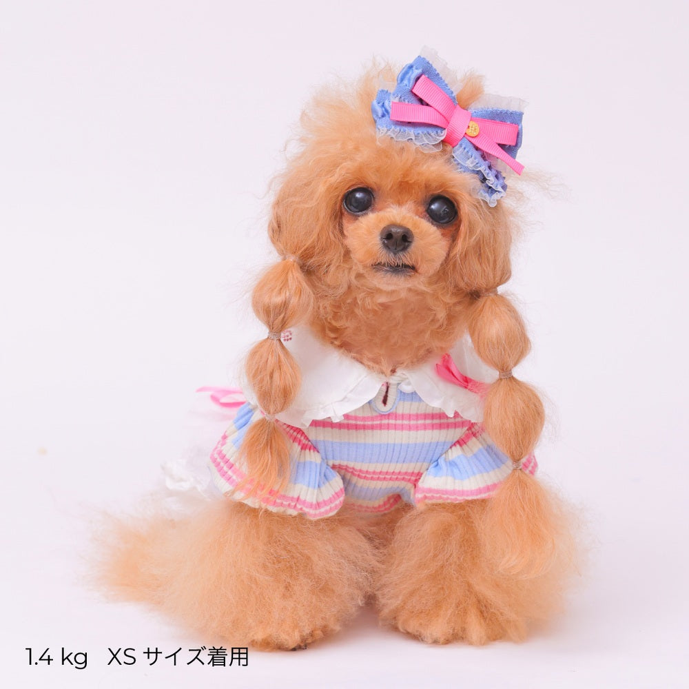 ゴッドピヴァ GODPIVA ☆ご予約☆ フレンチボーダワンピース【小型犬用 犬服 ドッグウエア ワンピース スカート ドレス セレブ】