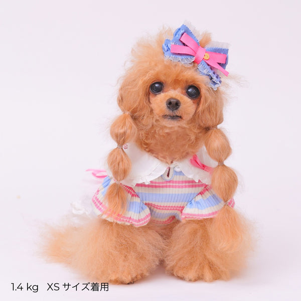 ゴッドピヴァ GODPIVA ☆ご予約☆ フレンチボーダワンピース【小型犬用 犬服 ドッグウエア ワンピース スカート ドレス セレブ】