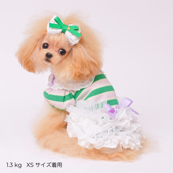 ゴッドピヴァ GODPIVA ☆ご予約☆ フレンチボーダワンピース【小型犬用 犬服 ドッグウエア ワンピース スカート ドレス セレブ】