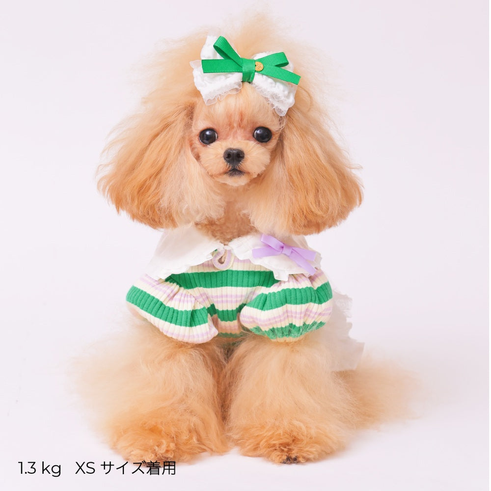 ゴッドピヴァ GODPIVA ☆ご予約☆ フレンチボーダワンピース【小型犬用 犬服 ドッグウエア ワンピース スカート ドレス セレブ】