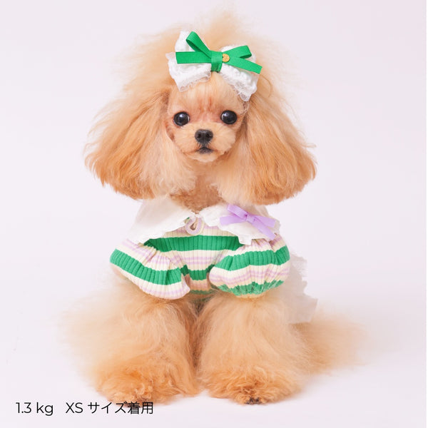 ゴッドピヴァ GODPIVA ☆ご予約☆ フレンチボーダワンピース【小型犬用 犬服 ドッグウエア ワンピース スカート ドレス セレブ】
