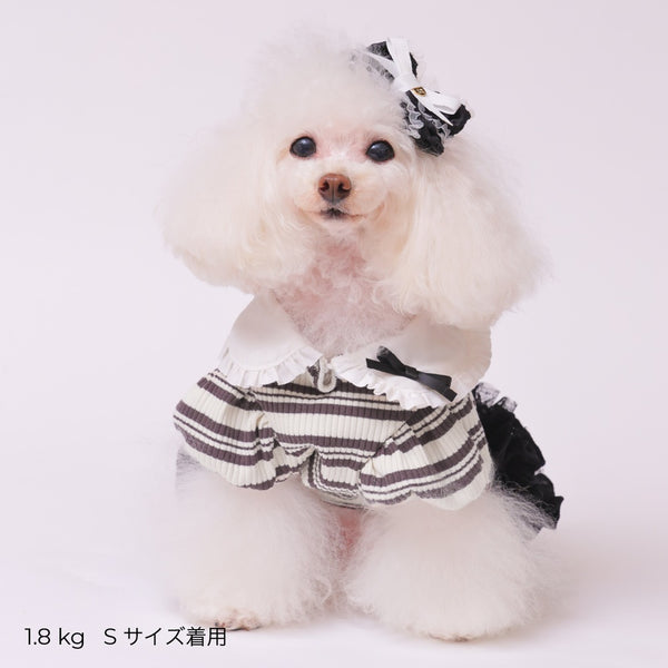 ゴッドピヴァ GODPIVA ☆ご予約☆ フレンチボーダワンピース【小型犬用 犬服 ドッグウエア ワンピース スカート ドレス セレブ】