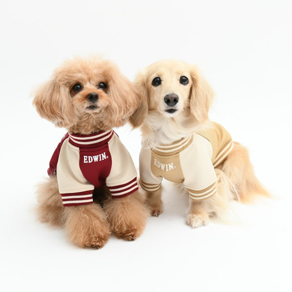 エドウイン EDWIN スタジャン風スウェット【犬服 ドッグウエア ウエア トップス スウェット トレーナー カジュアル】