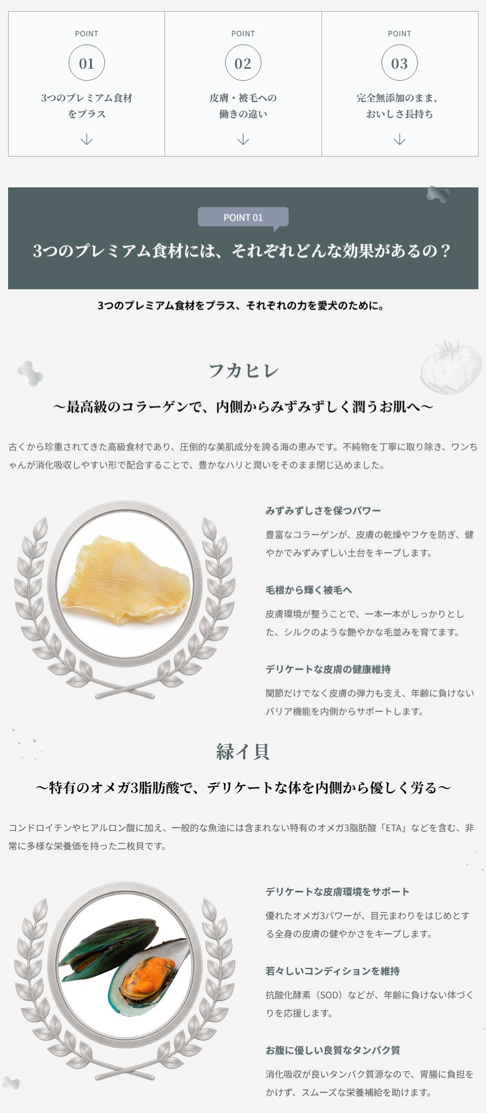 パシュートオブラブ PURSUIT OF LOVE NEW もりもり ぼくらのげんきごはん 食事療法食・腎臓【犬 ペット ドライフード 全年齢対応】