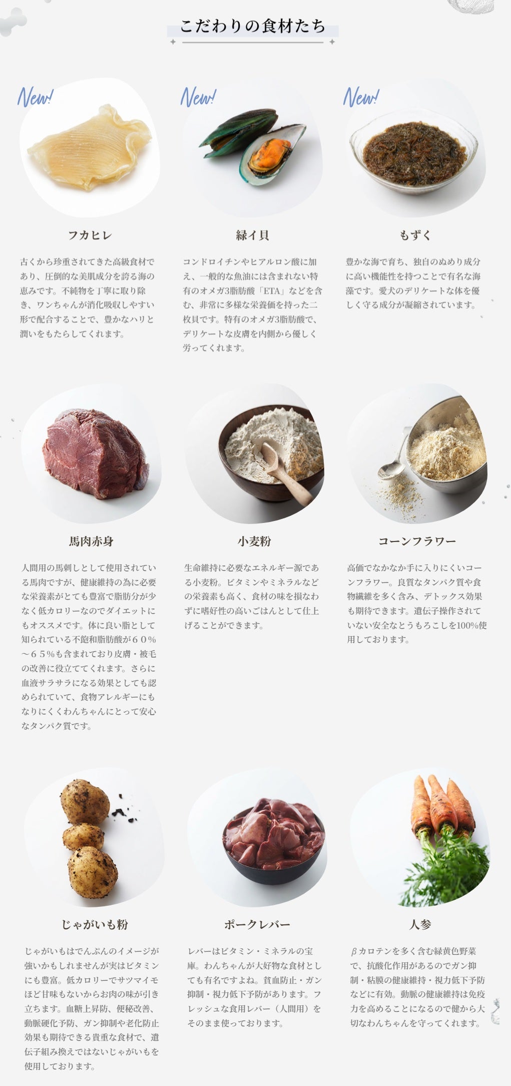 パシュートオブラブ PURSUIT OF LOVE NEW もりもり ぼくらのげんきごはん 食事療法食・腎臓【犬 ペット ドライフード 全年齢対応】