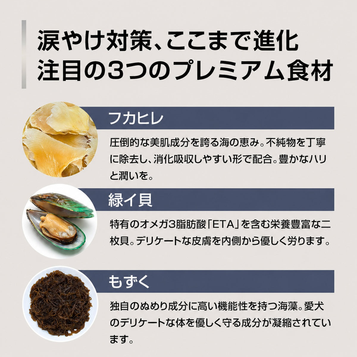 パシュートオブラブ PURSUIT OF LOVE NEW もりもり ぼくらのげんきごはん 食事療法食・腎臓【犬 ペット ドライフード 全年齢対応】