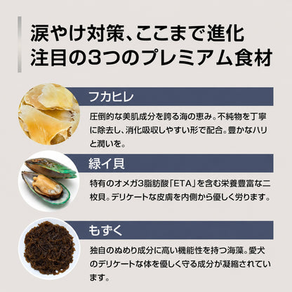 パシュートオブラブ PURSUIT OF LOVE NEW もりもり ぼくらのげんきごはん 食事療法食・腎臓【犬 ペット ドライフード 全年齢対応】