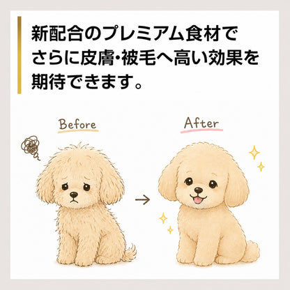 パシュートオブラブ PURSUIT OF LOVE NEW もりもり ぼくらのげんきごはん 食事療法食・腎臓【犬 ペット ドライフード 全年齢対応】