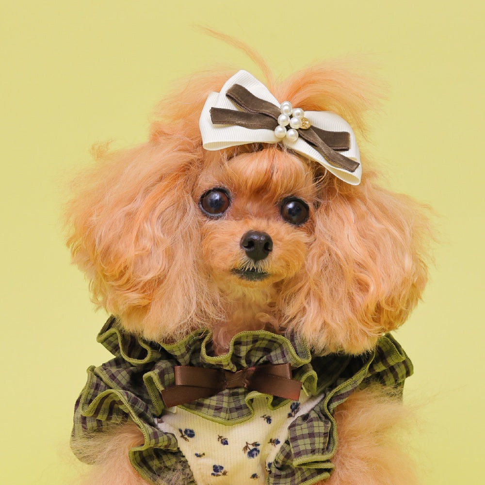 ゴッドピヴァ GODPIVA ☆ご予約☆ ベルベットレイヤードバレッタ【小型犬用 犬用 ヘアアクセサリー バレッタ リボン セレブ】