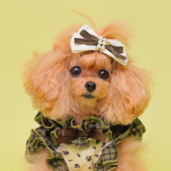 ゴッドピヴァ GODPIVA ☆ご予約☆ ベルベットレイヤードバレッタ【小型犬用 犬用 ヘアアクセサリー バレッタ リボン セレブ】