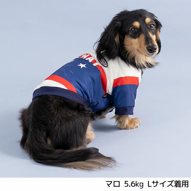 ディーズチャット D's CHAT ☆予約品☆ 裏起毛ナイロンアウター【犬服 ドッグウェア アウター ジャケット コート セレブ】