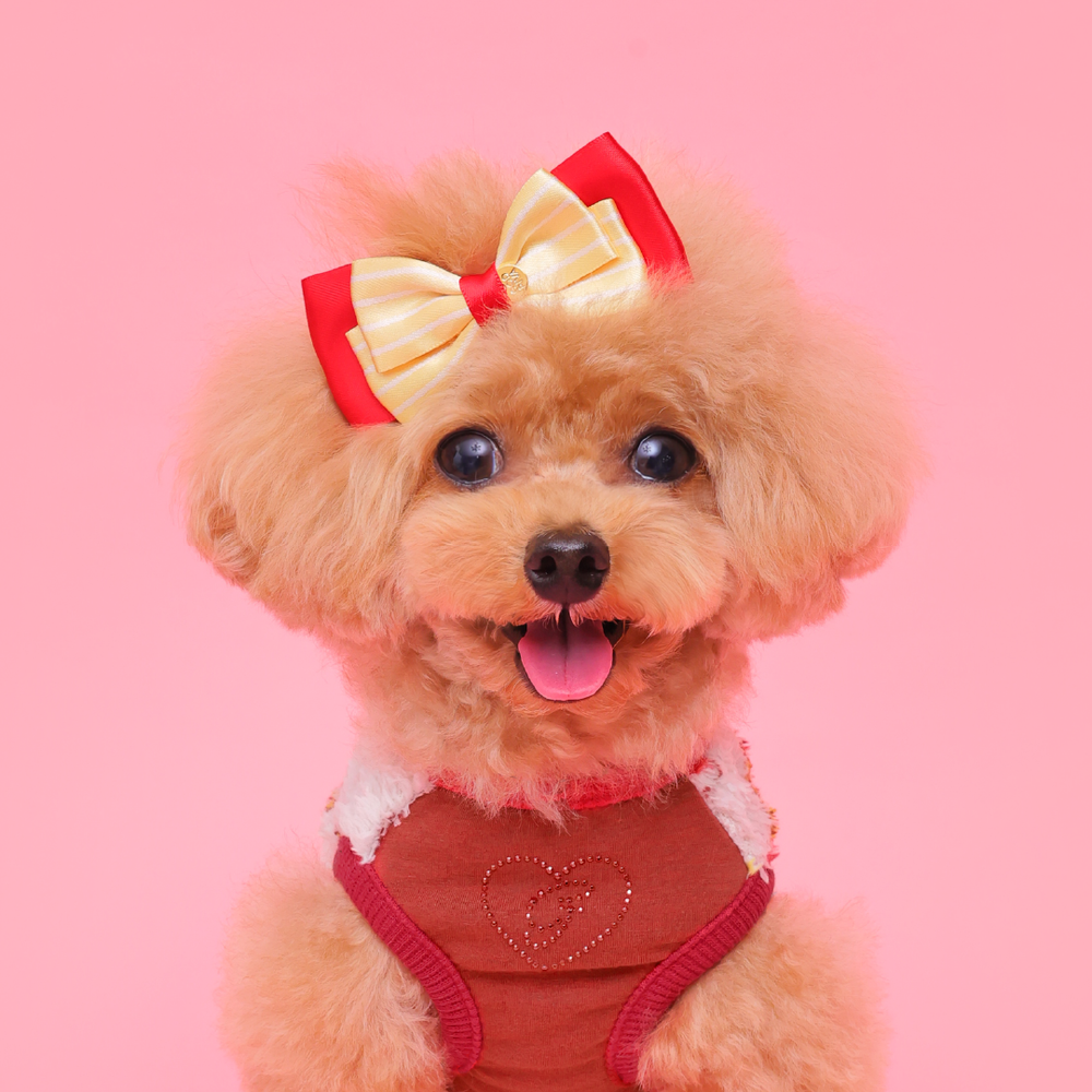 ゴッドピヴァ GODPIVA ☆ご予約☆POTATOバレッタ / ハートバレッタ / デニムチェックフリルバレッタ【小型犬 アクセサリー ヘアアクセサリー セレブ】
