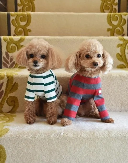 プエルト PUERTO 長袖ノルウェイの森ボーダーカットソー【小型犬 犬服  ドッグウエアトップス カットソー 長袖 セレブ】