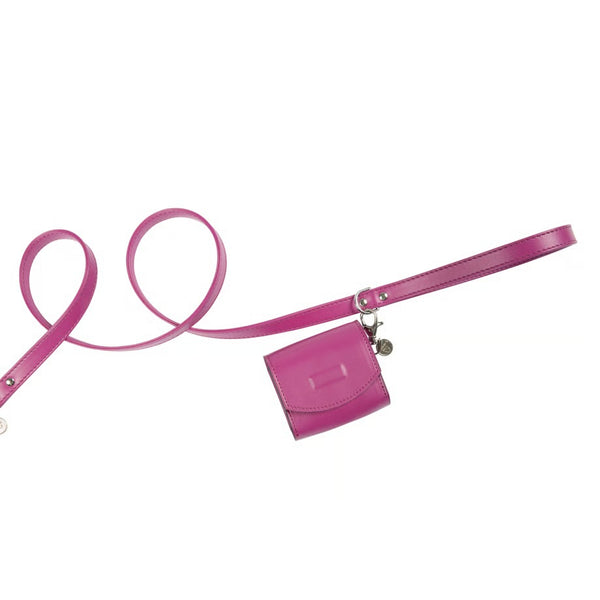 シャーロットドレス Charlotte's Dress Art. h1566NOB leash Hermes (ゴールド仕様)【犬用 お散歩 リード セレブ】