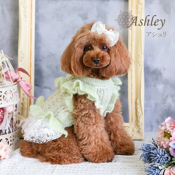 グラマーイズム Glamourism アシュリ（Ashley）選べる2色【小型犬 犬服 ドッグウエア ワンピース ドレス スカート セレブ】