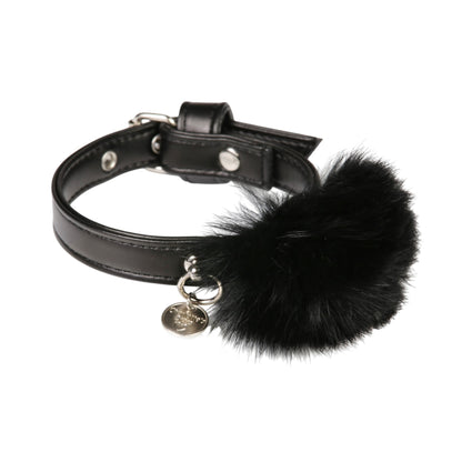 シャーロットドレス Charlotte's Dress Art. h1675NV15 Vip leash Fluffy【犬用 お散歩 リード セレブ】