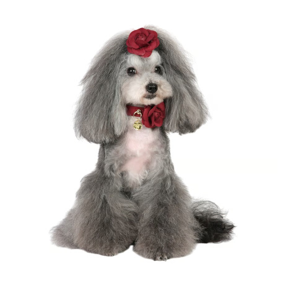 シャーロットドレス Charlotte's Dress Art. f1671N collar Scarlet【犬用 お散歩 カラー 首輪 セレブ】