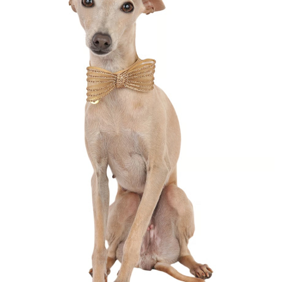 シャーロットドレス Charlotte's Dress Art. f1673N collar Ines【犬用 お散歩 カラー 首輪 セレブ】