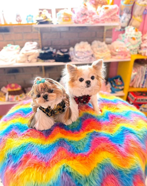 J&Kアニマルズ J&K animals ☆ご予約☆ ラブリータータンチェック ワンピース【犬服 ドッグウエア ワンピース ドレス スカート】