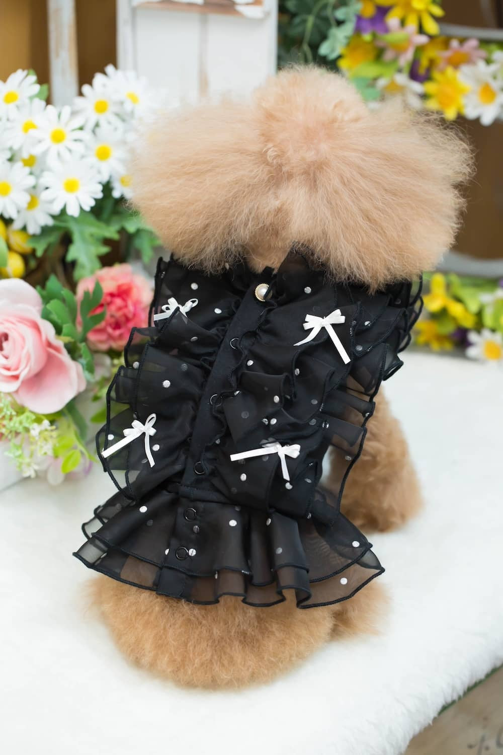 ブルブブ BUL BU-BU フレアフリルキャミ【小型犬 犬服 ドッグウエア トップス キャミソール ノースリーブ セレブ】