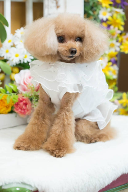 ブルブブ BUL BU-BU フレアフリルキャミ【小型犬 犬服 ドッグウエア トップス キャミソール ノースリーブ セレブ】