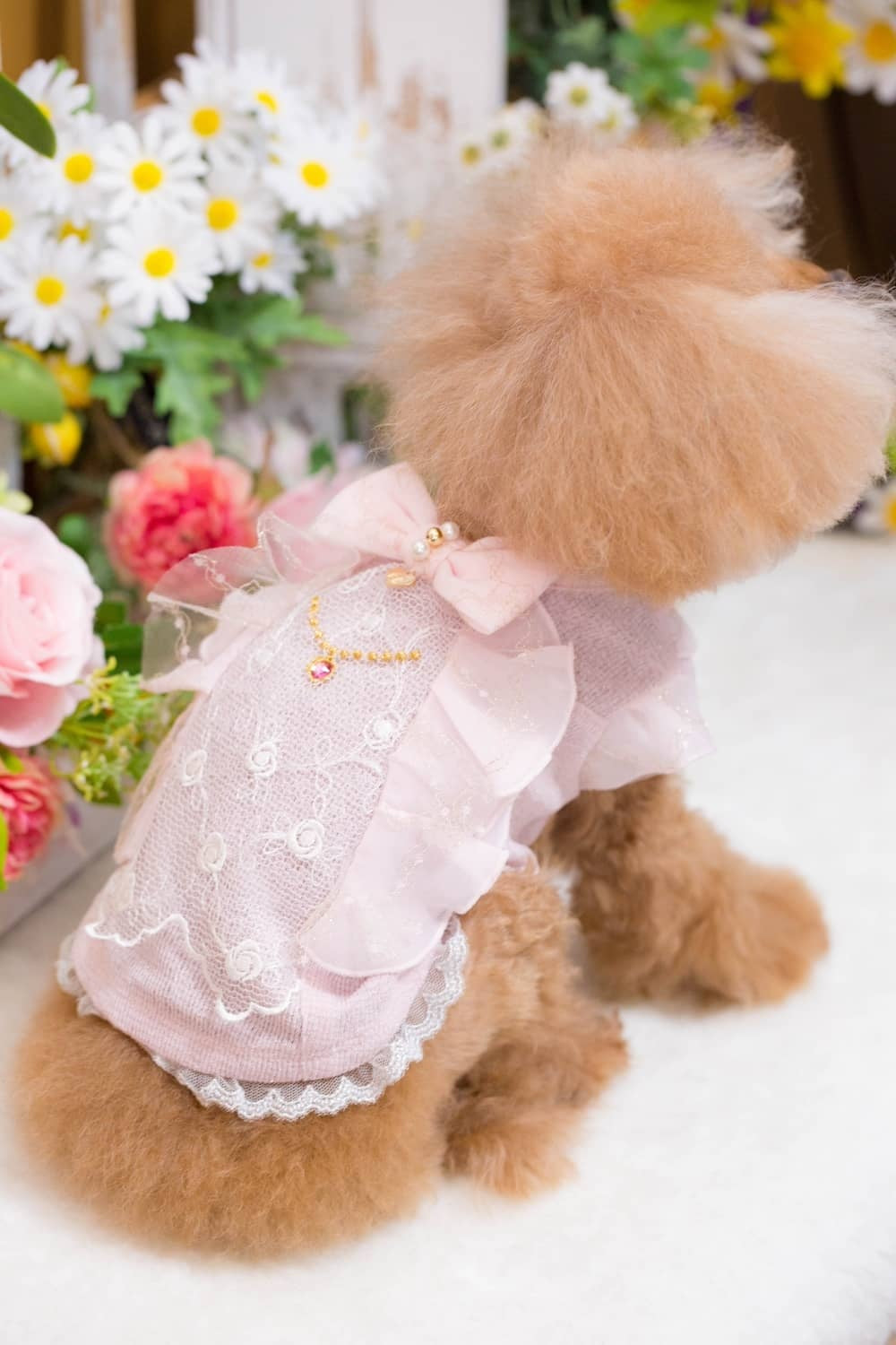 ブルブブ BUL BU-BU Classy Camisole【小型犬 犬服 ドッグウエア トップス キャミソール ノースリーブ セレブ】
