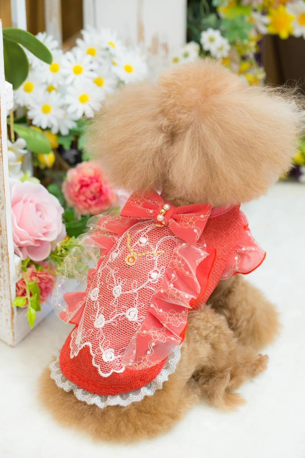 ブルブブ BUL BU-BU Classy Camisole【小型犬 犬服 ドッグウエア トップス キャミソール ノースリーブ セレブ】