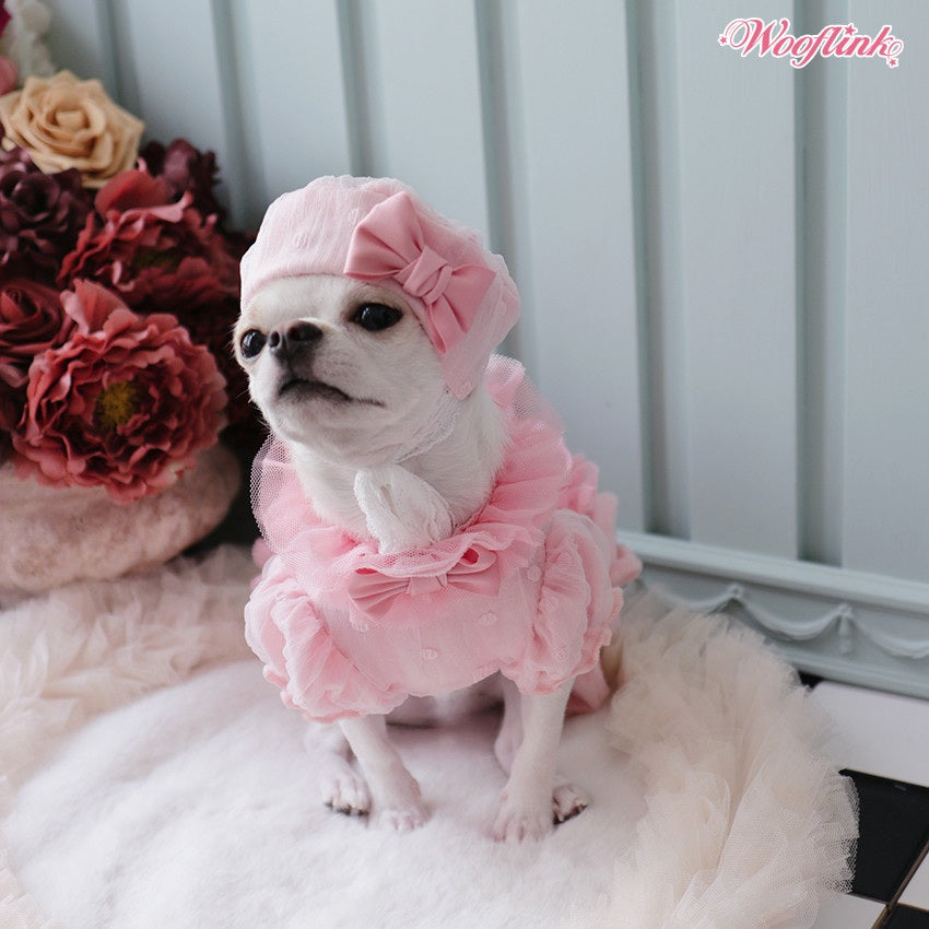 ウーフリンク WOOFLINK SORBET CONFETTI BERET【犬服 犬用 帽子 ヘアアクセサリー ベレー帽 セレブ】